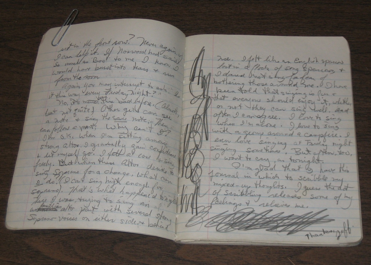 Photo of angry scribbles in my journal