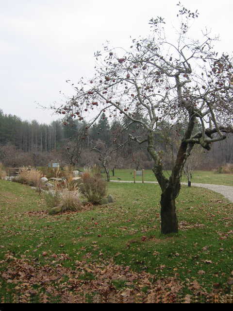 IMG_4457.JPG