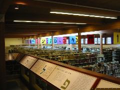 IMG_4458.JPG