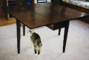 small image of table